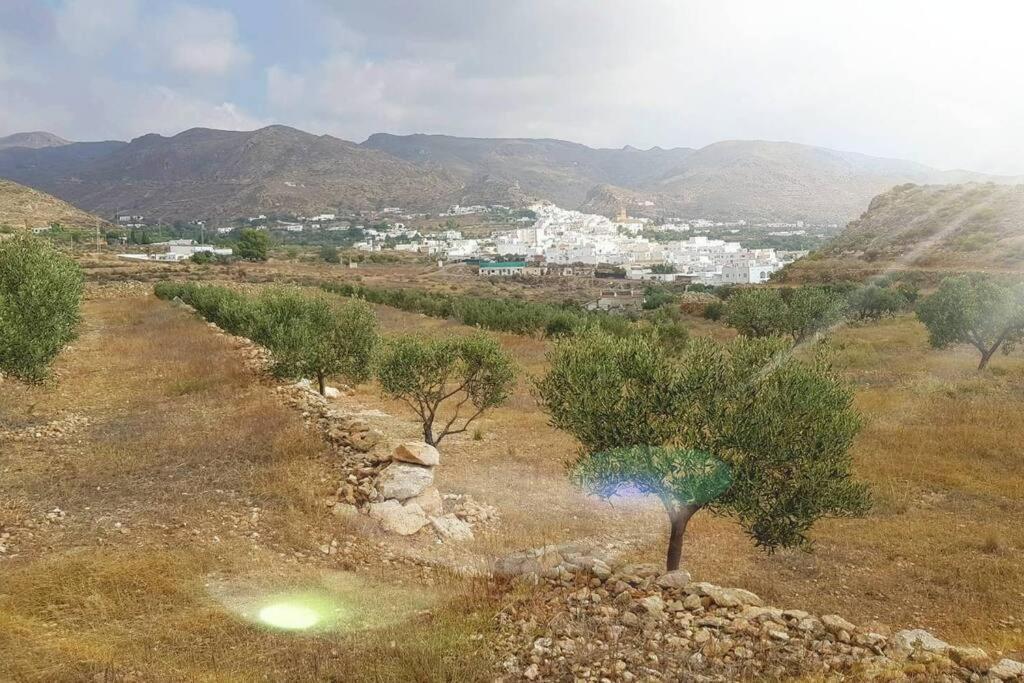 Níjar: Authentic Andalusian Experience Villa Exterior photo