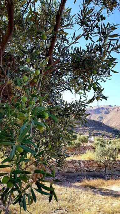 Níjar: Authentic Andalusian Experience Villa Exterior photo